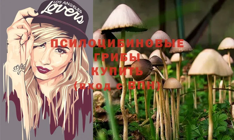 Псилоцибиновые грибы Psilocybine cubensis  mega ТОР  Ужур 